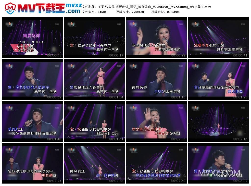 王雯 张大伟-南屏晚钟_国语_流行歌曲_MA405700